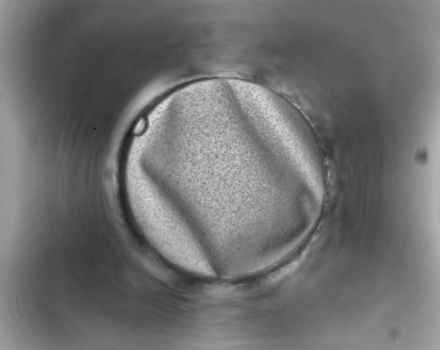 X0000102400246200808151949