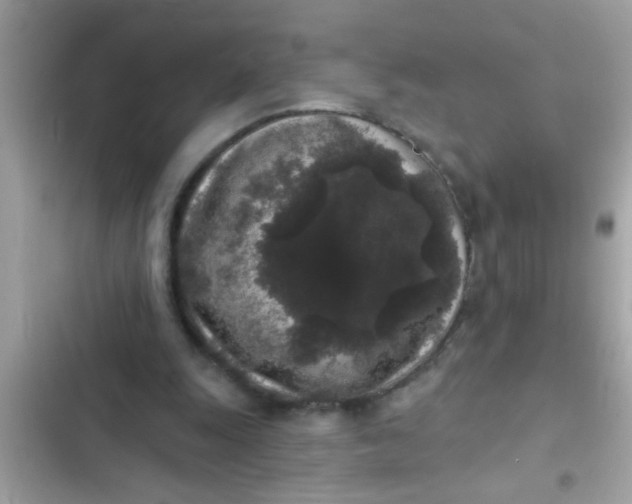 X0000102400247200808151949