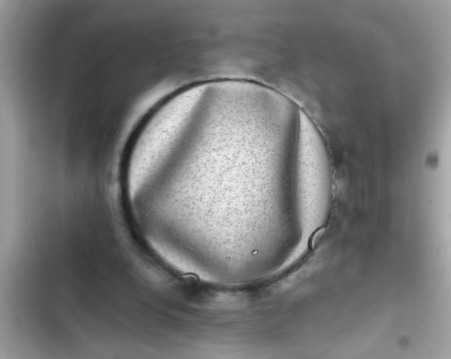 X0000102400248200808151949