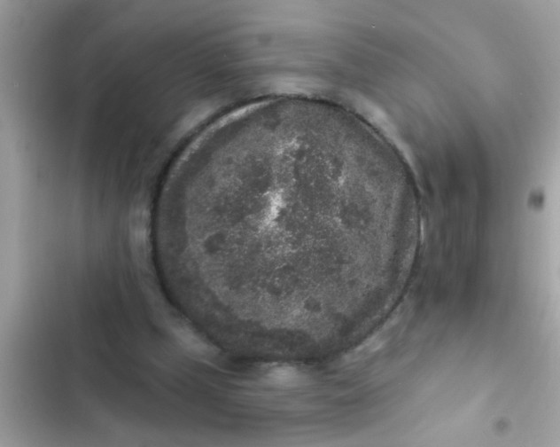 X0000102400249200808151949