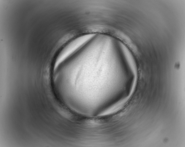 X0000102400250200808151949