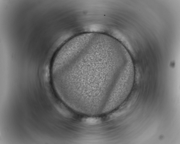 X0000102400251200808151949