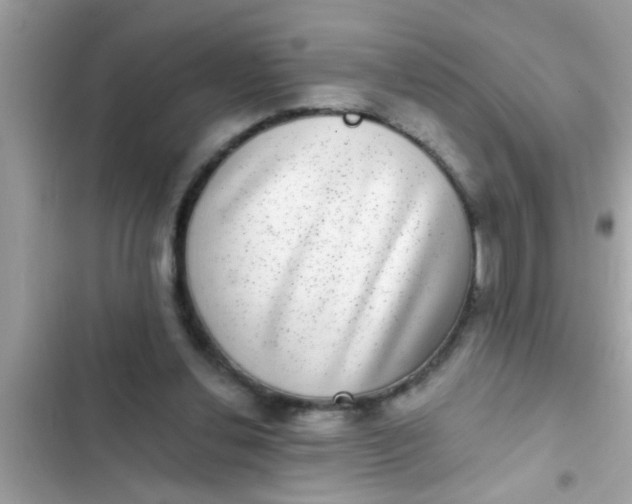 X0000102400252200808151949