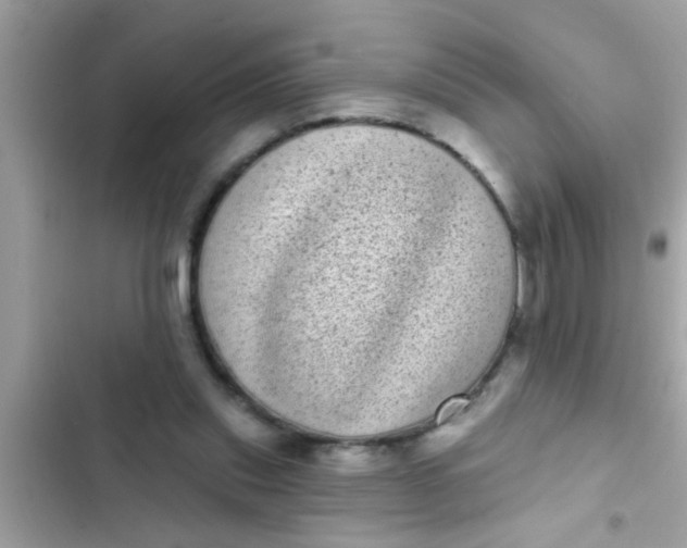 X0000102400253200808151949