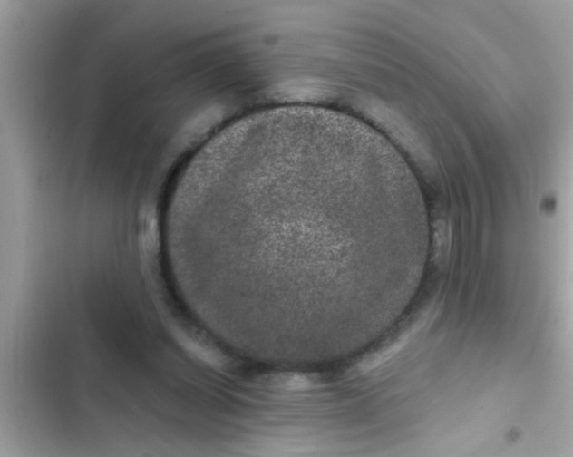 X0000102400254200808151949