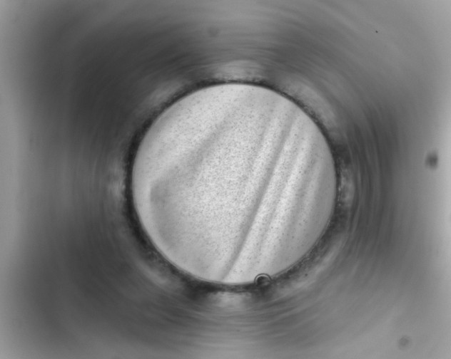 X0000102400255200808151949