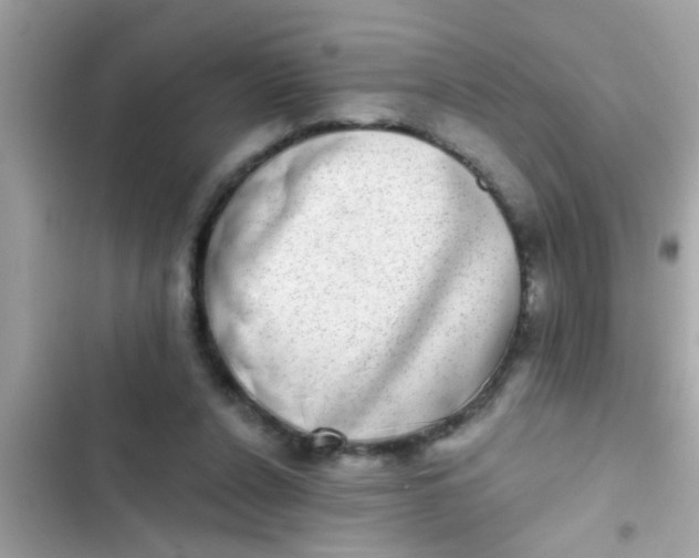 X0000102400256200808151949