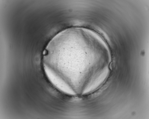 X0000102400257200808151949