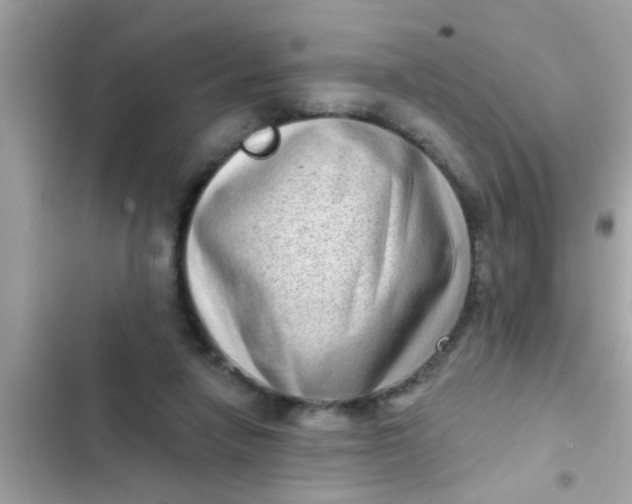 X0000102400258200808151949