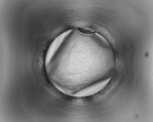 X0000102400259200808151949