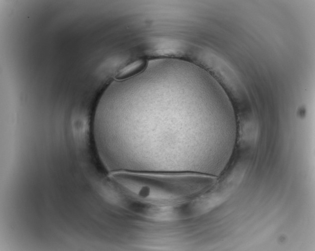 X0000102400260200808151949