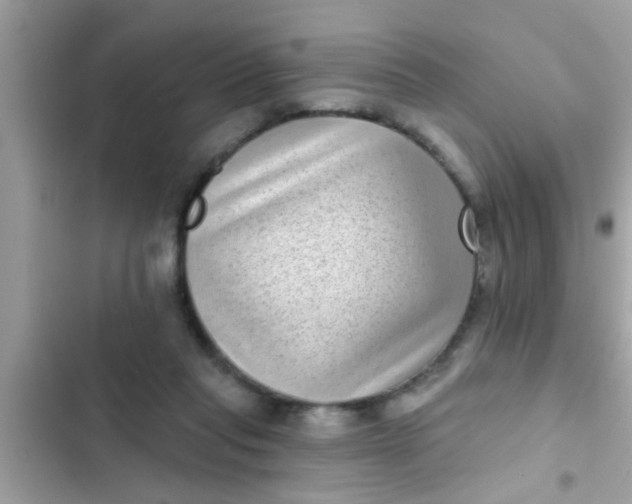 X0000102400261200808151949