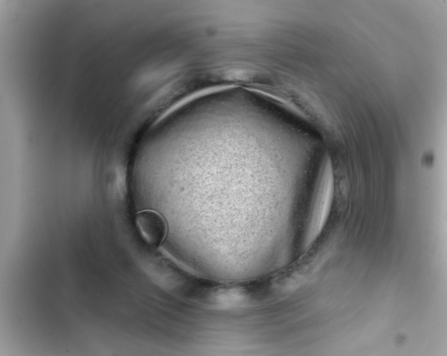 X0000102400262200808151949