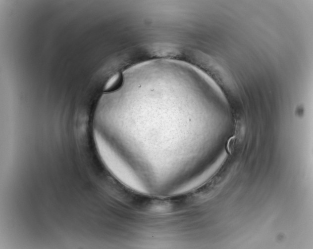 X0000102400263200808151949