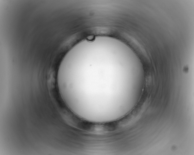 X0000102400264200808151949