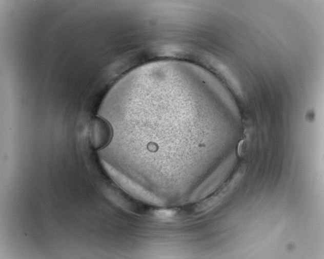 X0000102400265200808151949