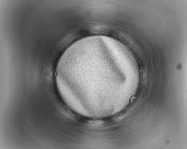 X0000102400266200808151949