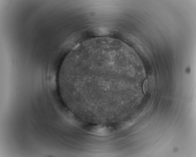 X0000102400267200808151949