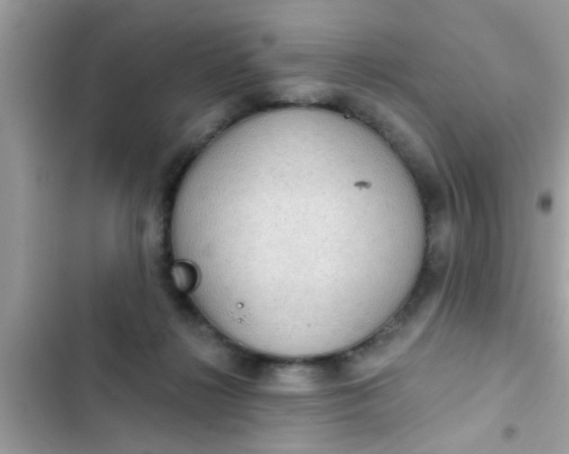 X0000102400268200808151949