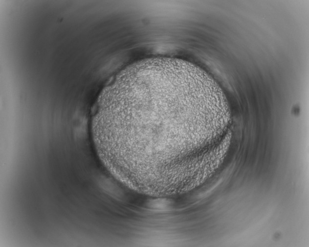 X0000102400269200808151949