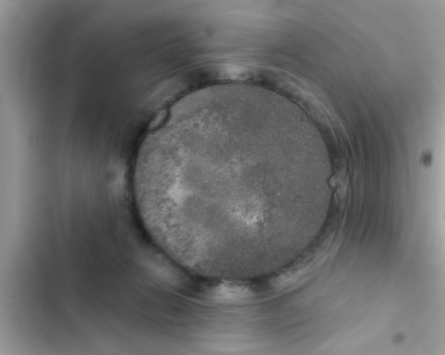 X0000102400270200808151949