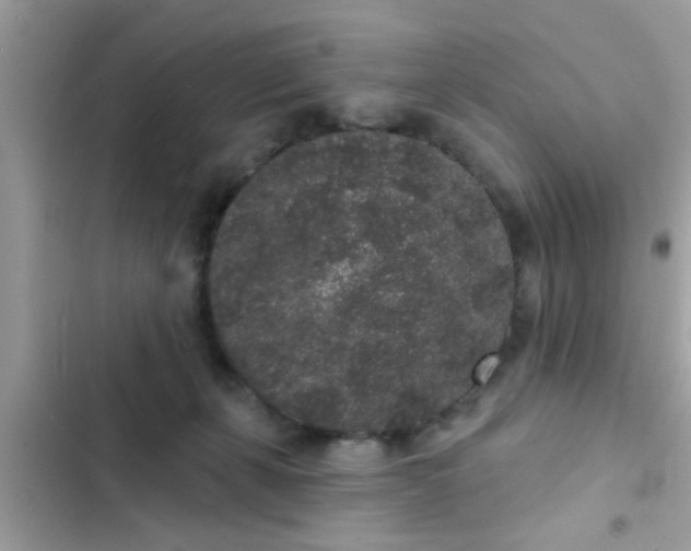 X0000102400271200808151949