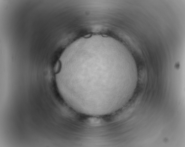 X0000102400272200808151949