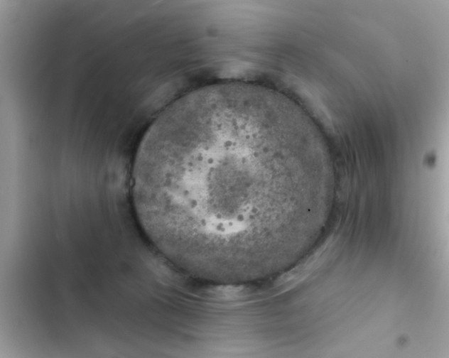 X0000102400273200808151950