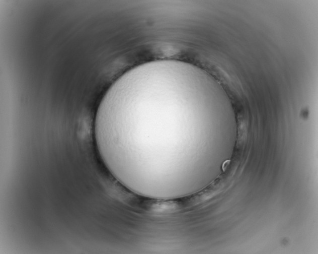 X0000102400274200808151950