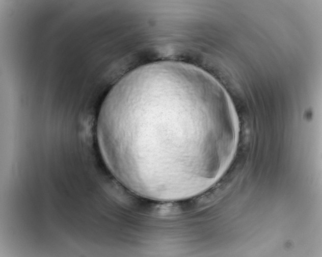 X0000102400275200808151950