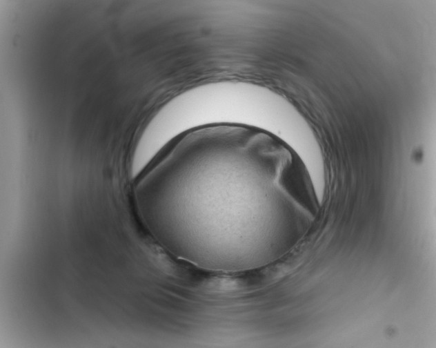 X0000102400276200808151950