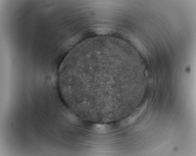 X0000102400277200808151950