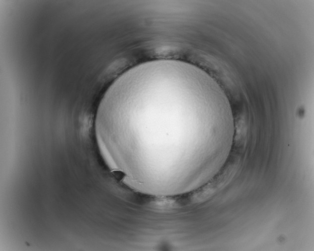 X0000102400278200808151950