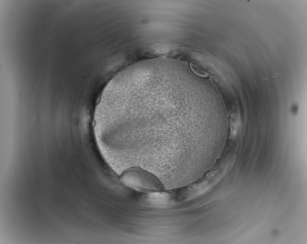 X0000102400279200808151950