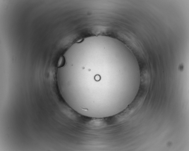 X0000102400280200808151950