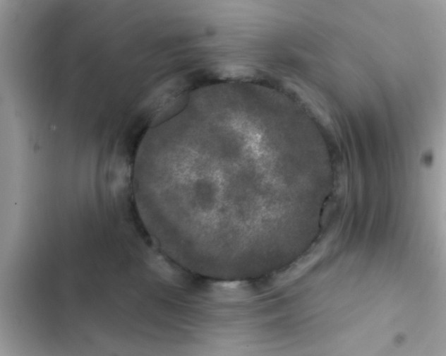 X0000102400281200808151950