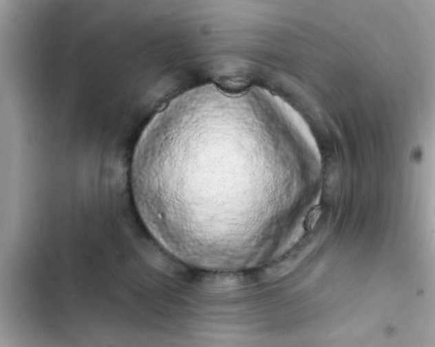 X0000102400282200808151950