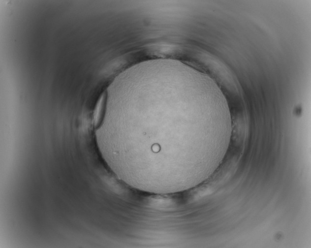 X0000102400284200808151950