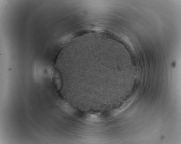 X0000102400285200808151950