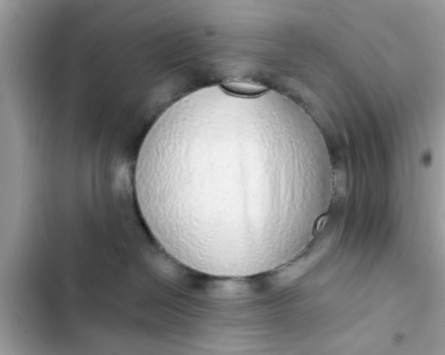 X0000102400286200808151950