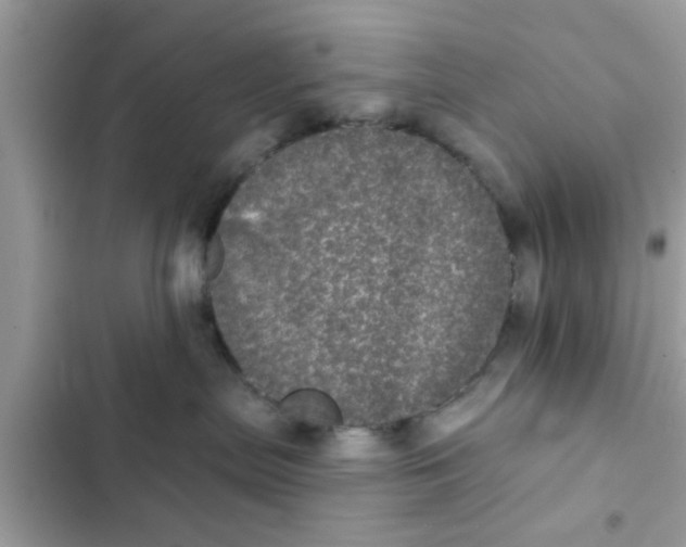 X0000102400287200808151950