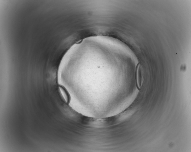 X0000102400288200808151950