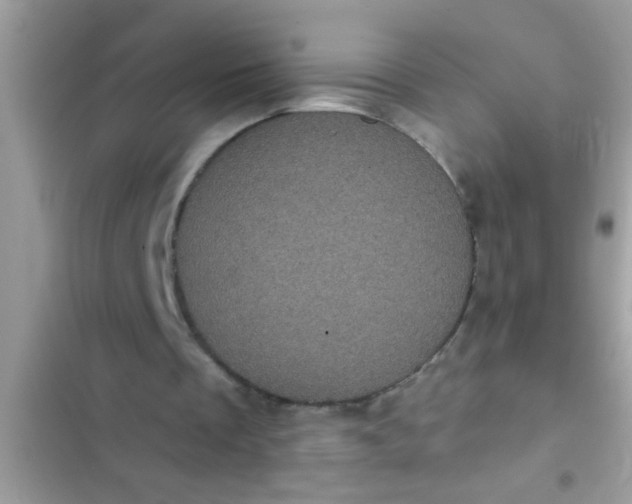 X0000102400289200808151949