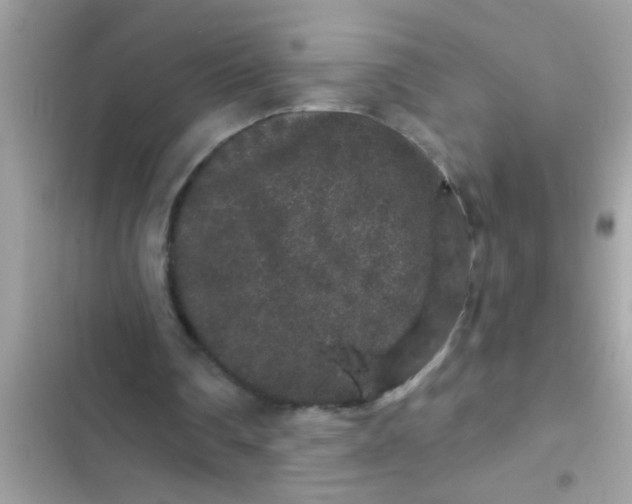 X0000102400290200808151949