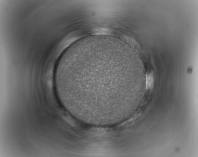 X0000102400291200808151949