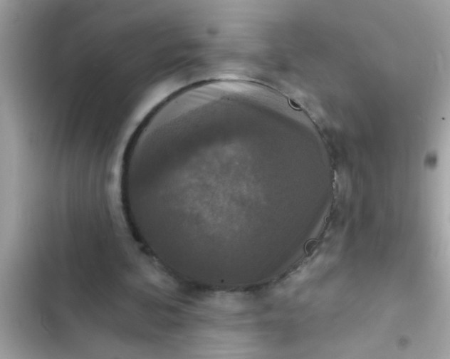 X0000102400292200808151949