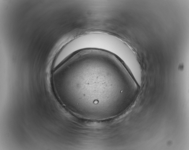 X0000102400293200808151949