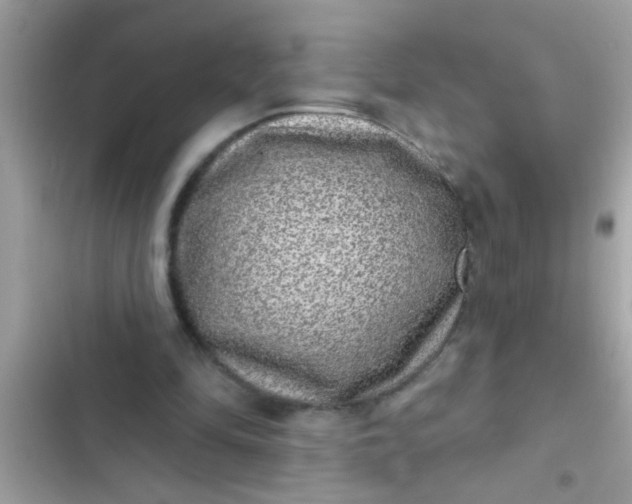 X0000102400294200808151949