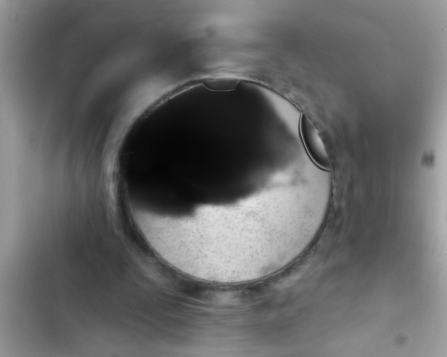 X0000102400295200808151949