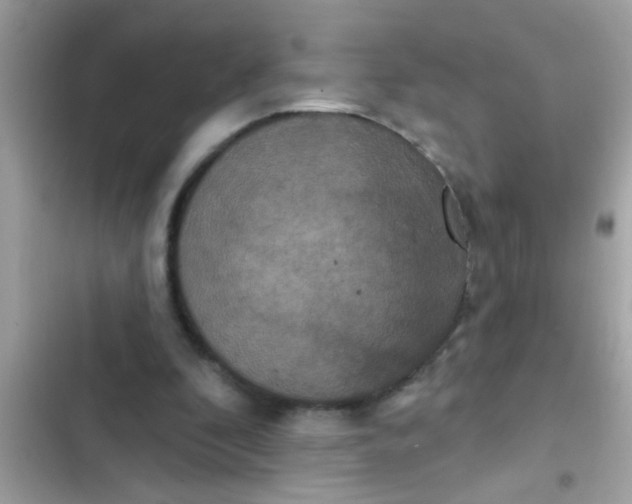 X0000102400296200808151949